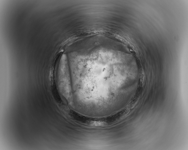 X0000093170360200710171232