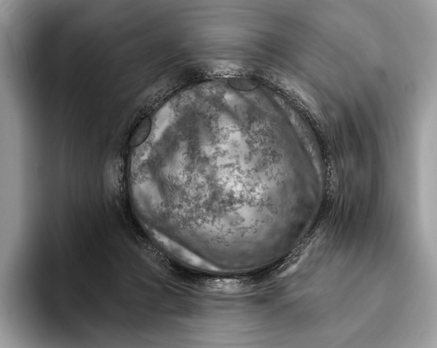 X0000093170361200710171232