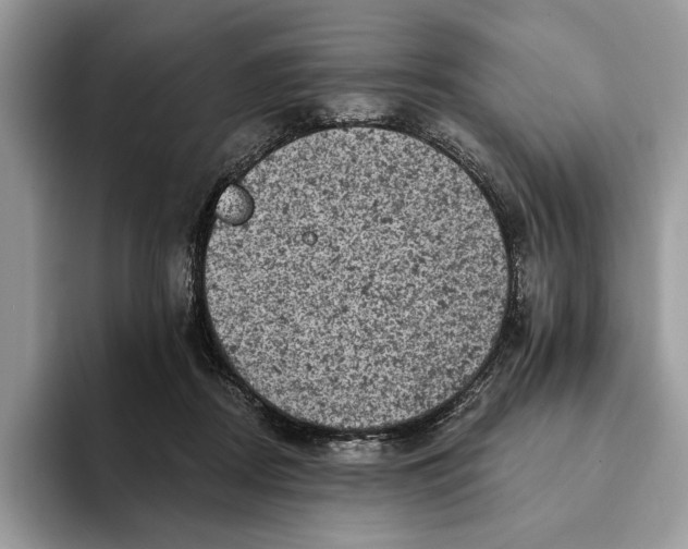 X0000093170362200710171232