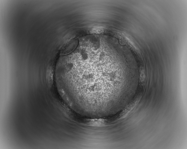 X0000093170363200710171232