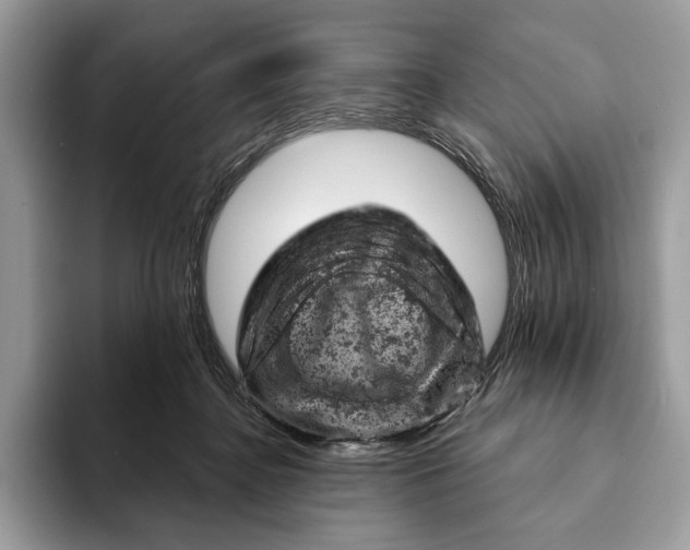 X0000093170364200710171232