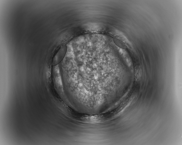 X0000093170365200710171232