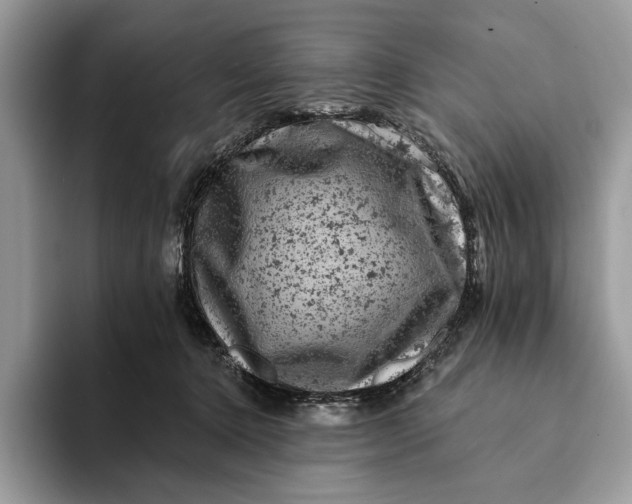 X0000093170368200710171232