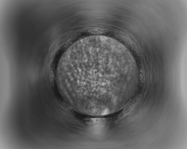 X0000093170371200710171232