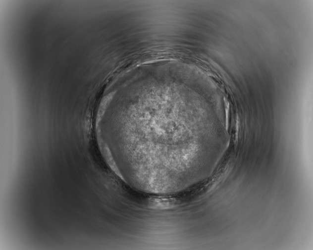 X0000093170372200710171232