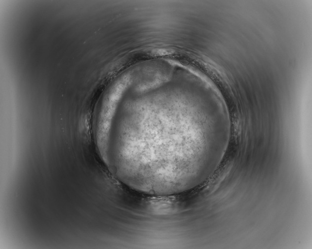 X0000093170373200710171232