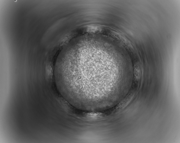 X0000093170375200710171232