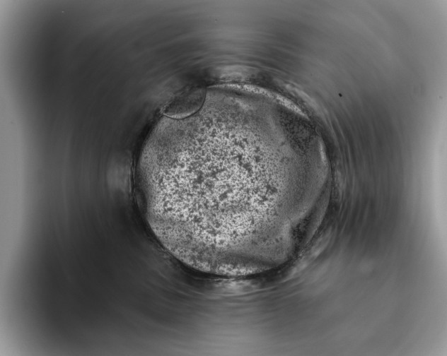 X0000093170379200710171232