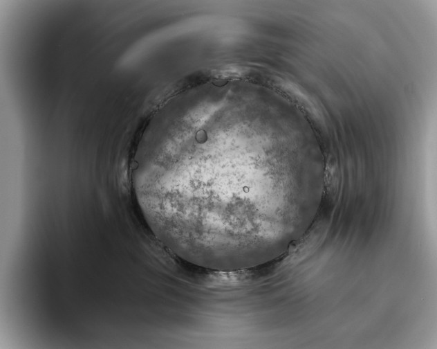 X0000093170381200710171232