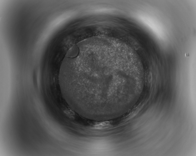 X0000093170382200710171232