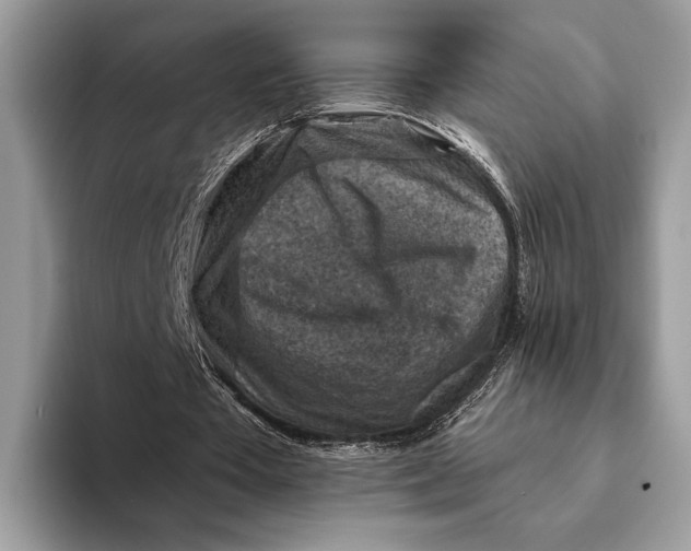 X0000093170385200710171232