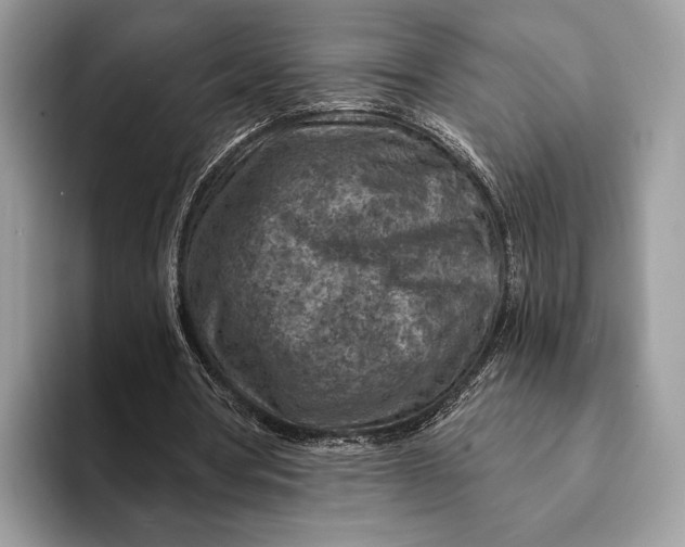 X0000093170386200710171232