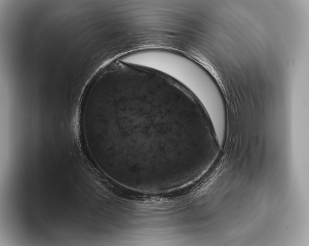 X0000093170387200710171232