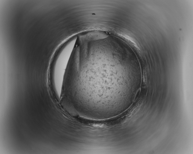 X0000093170388200710171232