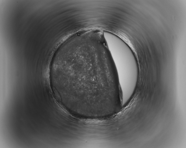 X0000093170389200710171232