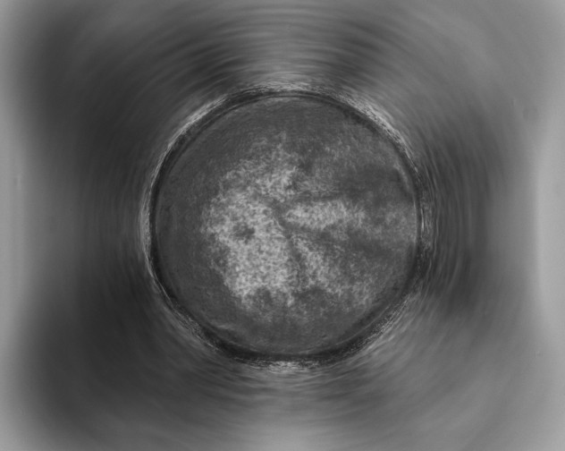 X0000093170390200710171232