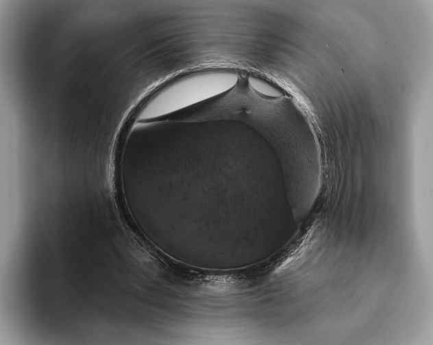 X0000093170391200710171232