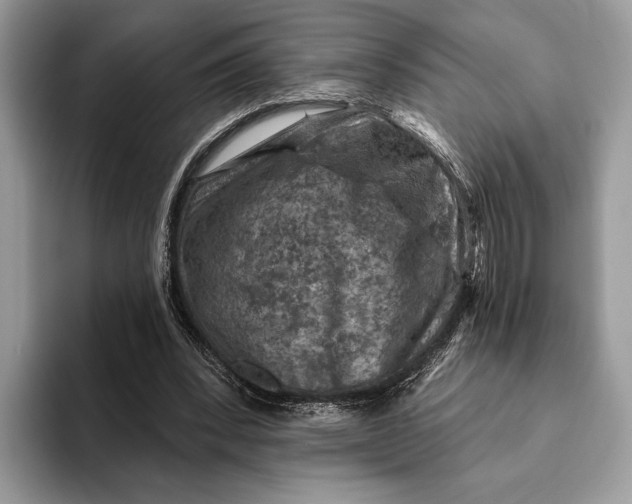 X0000093170392200710171232