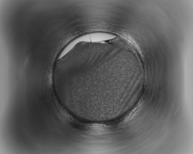 X0000093170393200710171232