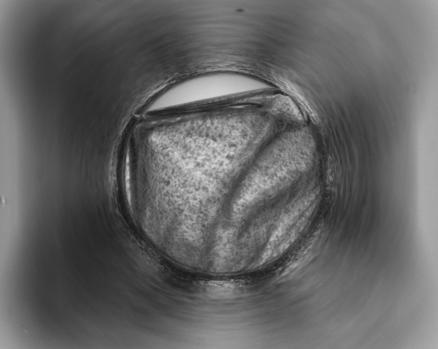 X0000093170394200710171232