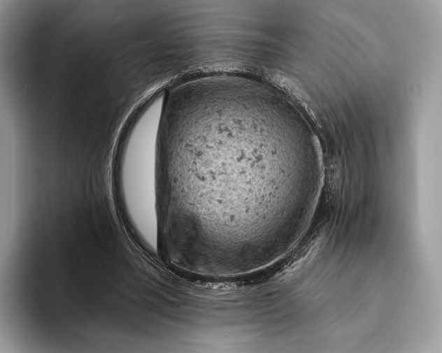 X0000093170395200710171232