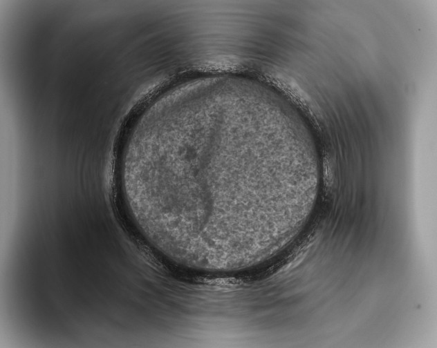 X0000093170396200710171232