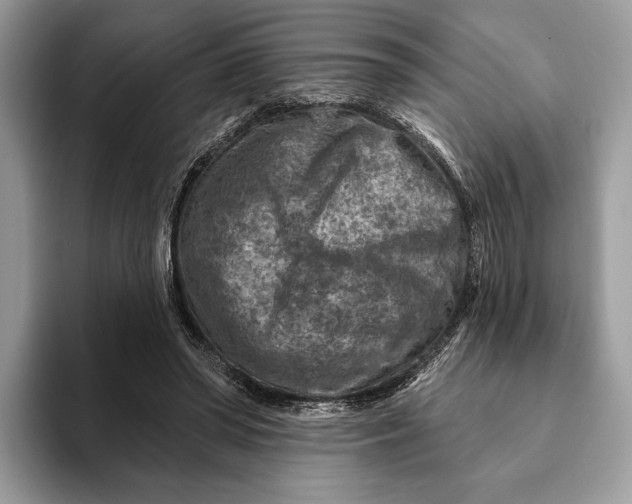 X0000093170398200710171232