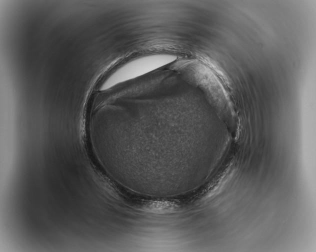 X0000093170399200710171232