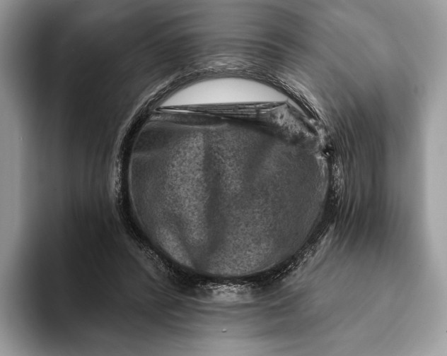 X0000093170400200710171232