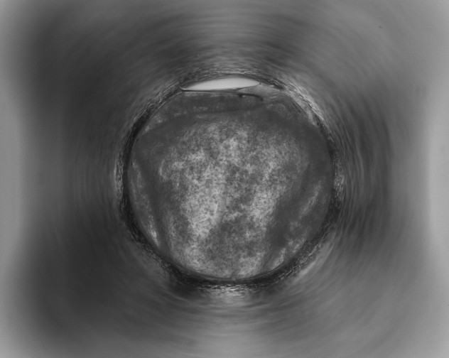 X0000093170402200710171232