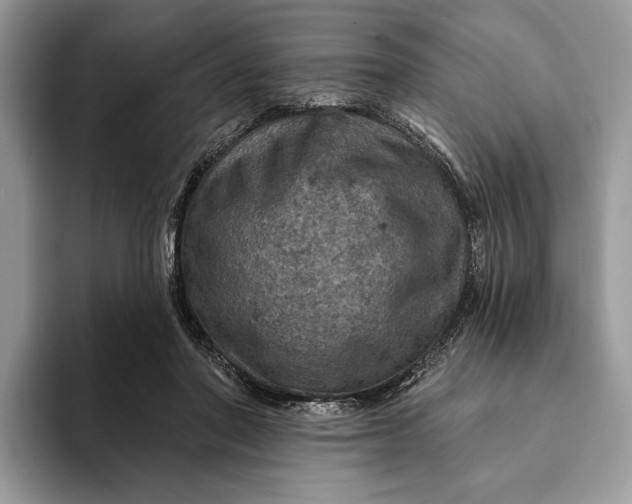 X0000093170406200710171232