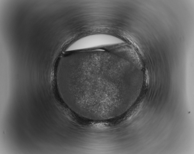 X0000093170407200710171232