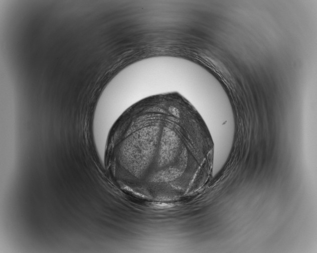 X0000093170409200710171232