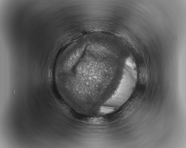 X0000093170410200710171232