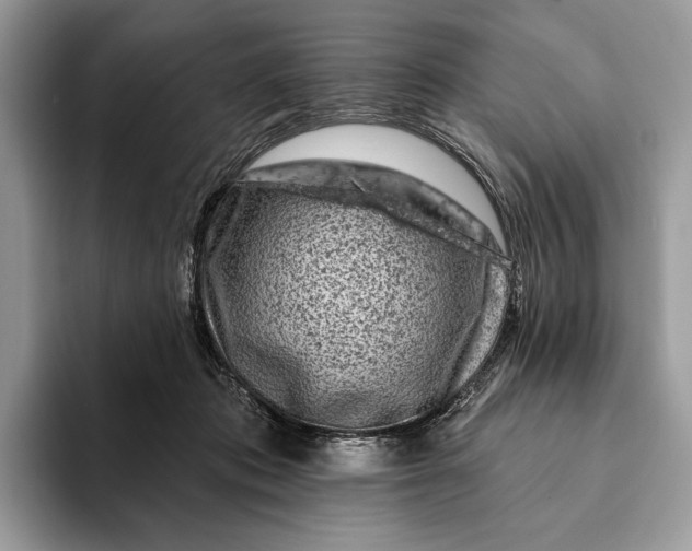 X0000093170413200710171232