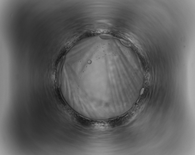 X0000093170415200710171232