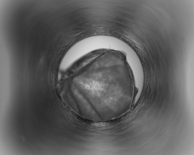 X0000093170417200710171232