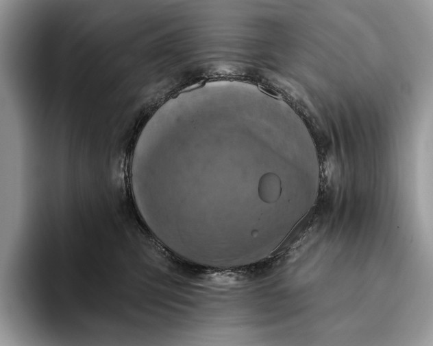 X0000093170423200710171231