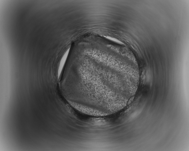 X0000093170424200710171231