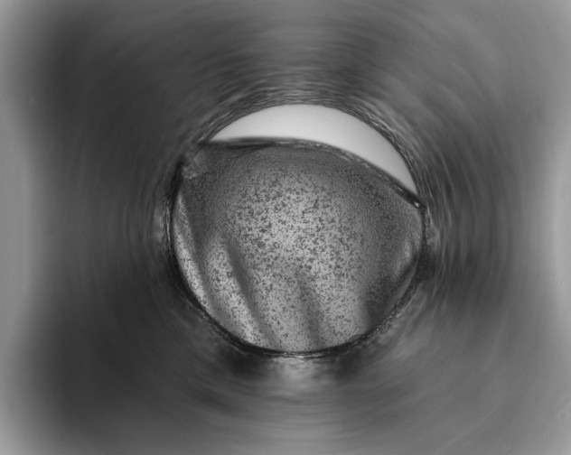 X0000093170425200710171231