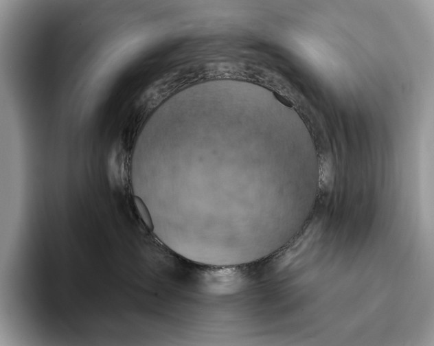 X0000093170431200710171231