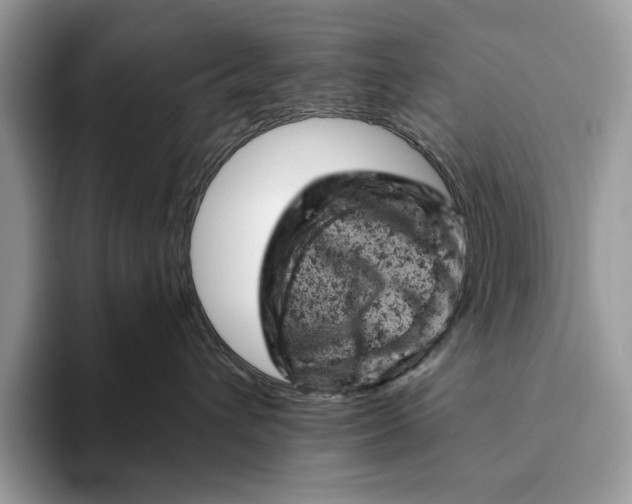 X0000093170432200710171231