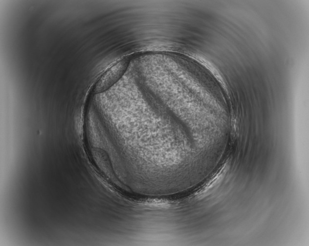 X0000093170437200710171231