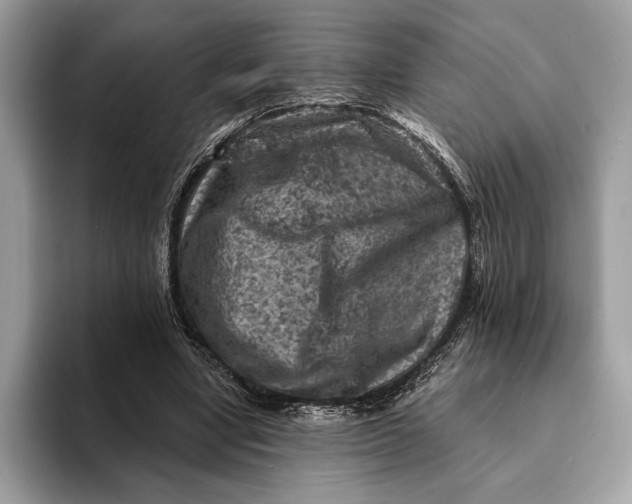 X0000093170442200710171231