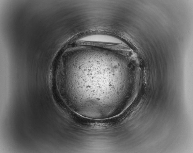 X0000093170448200710171231