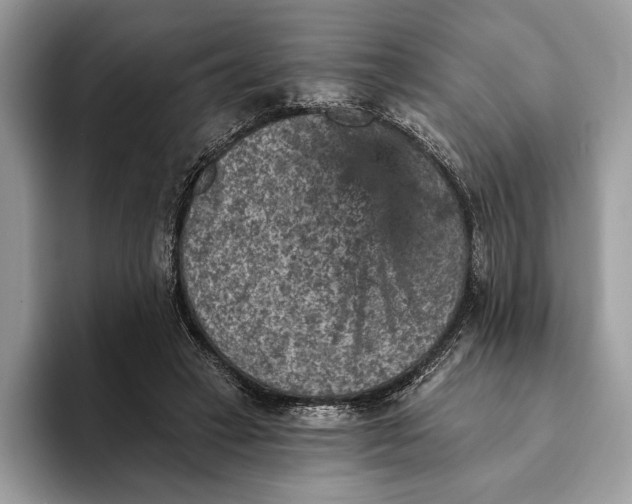 X0000093170449200710171231