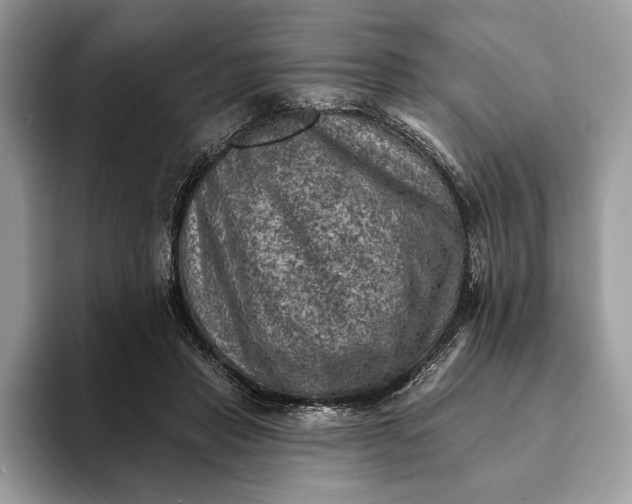 X0000093170453200710171231