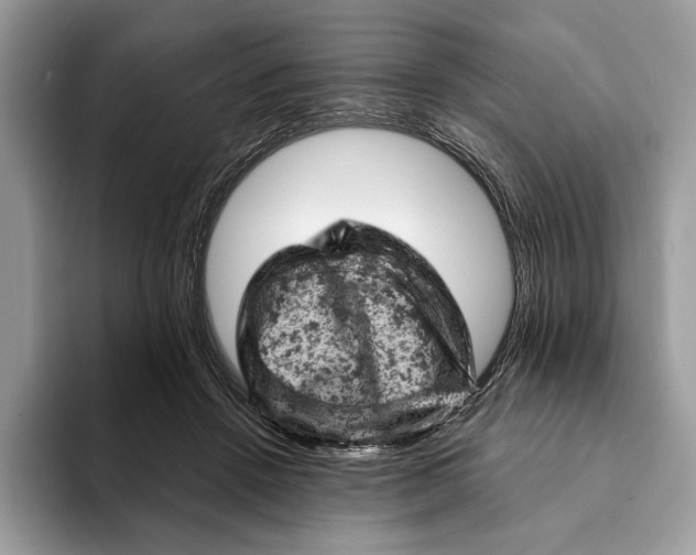 X0000093170456200710171231