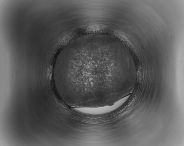 X0000093170458200710171231