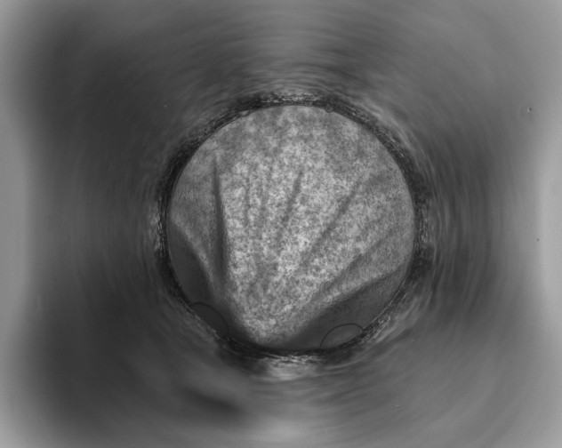 X0000093170465200710171231